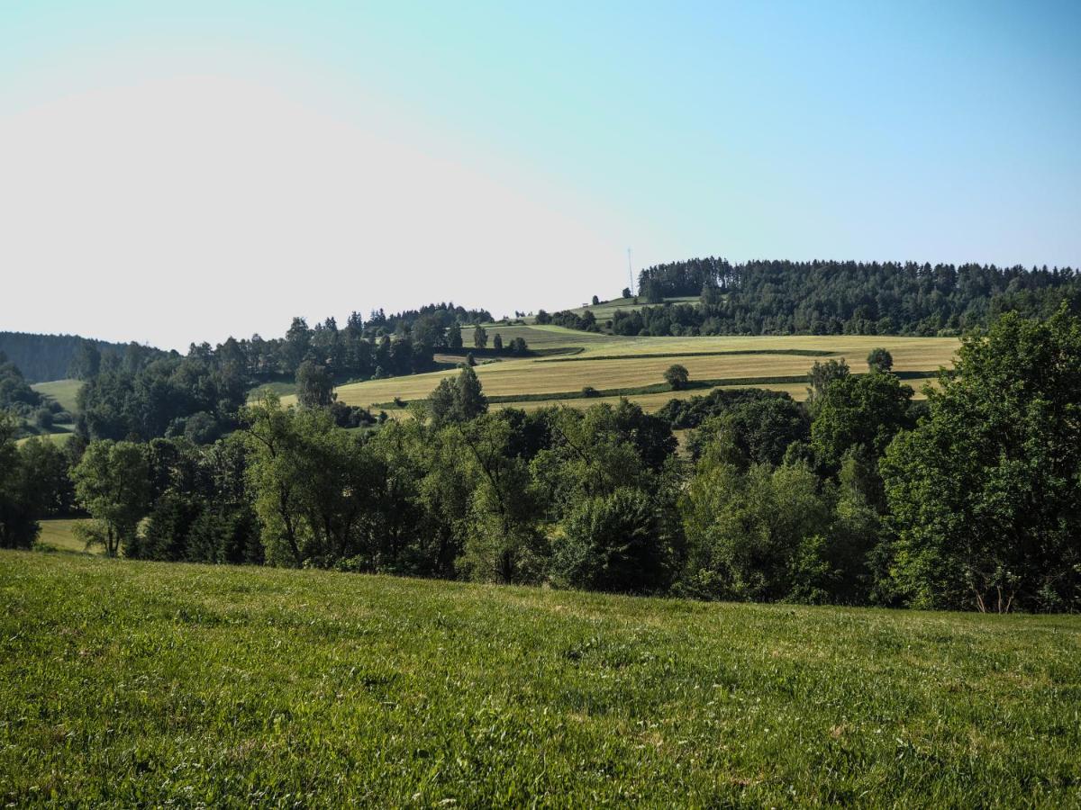 Statek Pod Lipou Hotel Pilníkov Buitenkant foto